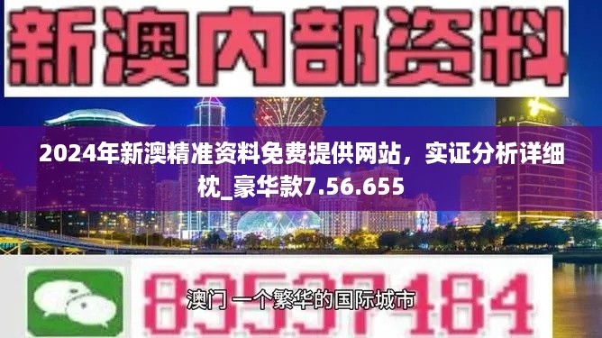 2024新奥资料免费精准-词语释义解释落实