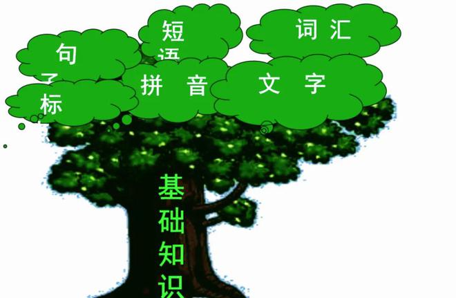 一码一肖一特一中2024-词语释义解释落实